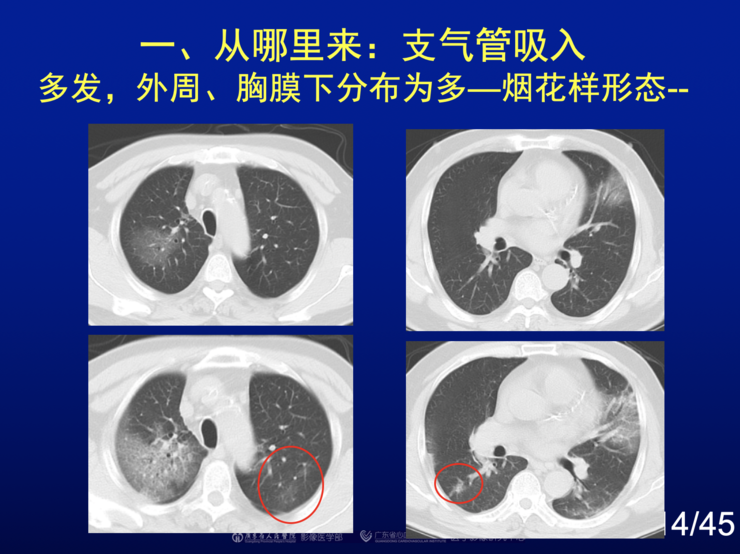 教育实验 第76页