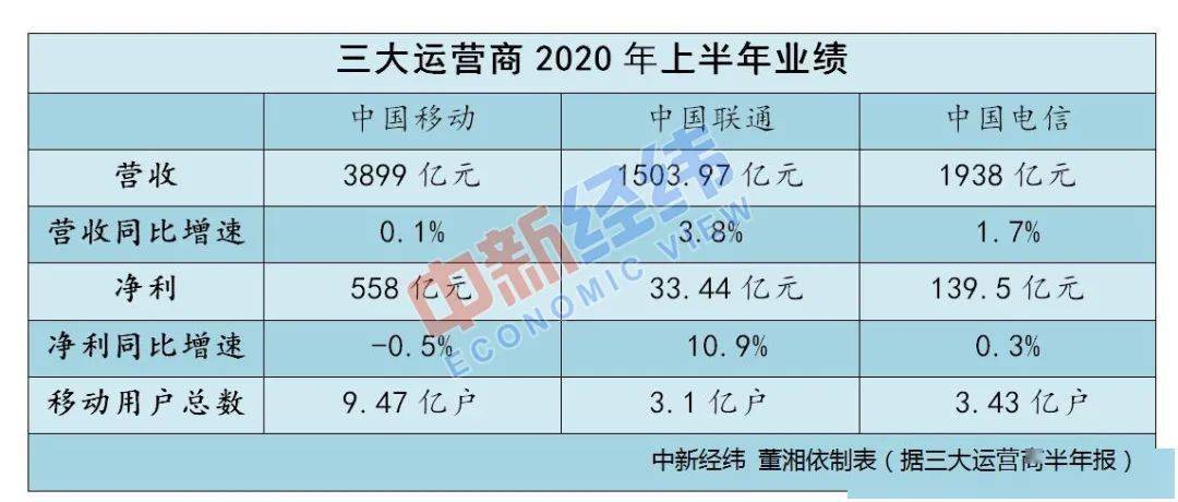 蚂蚁上市价格预测，市场趋势与前景展望分析