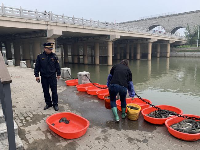 重庆南岸区城管，城市管理的先行者与守护者历程